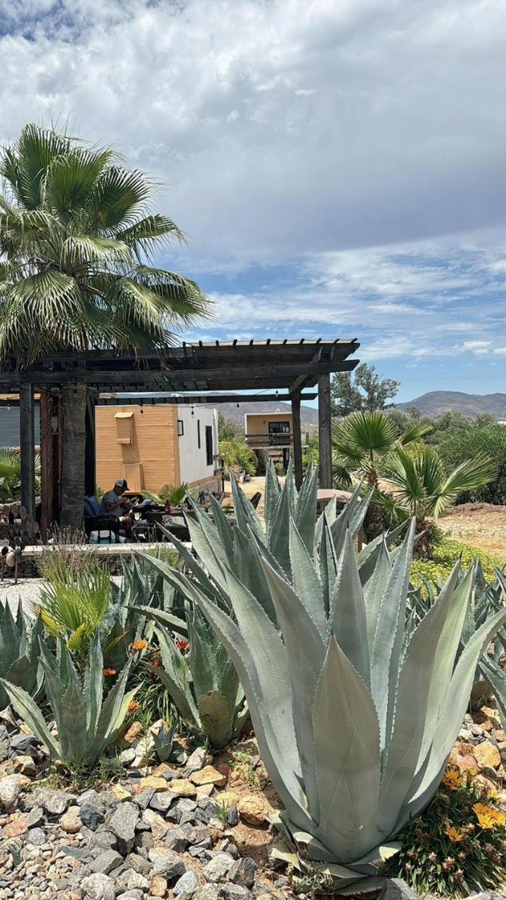 Villa Rincon Del Corazon Valle de Guadalupe Esterno foto