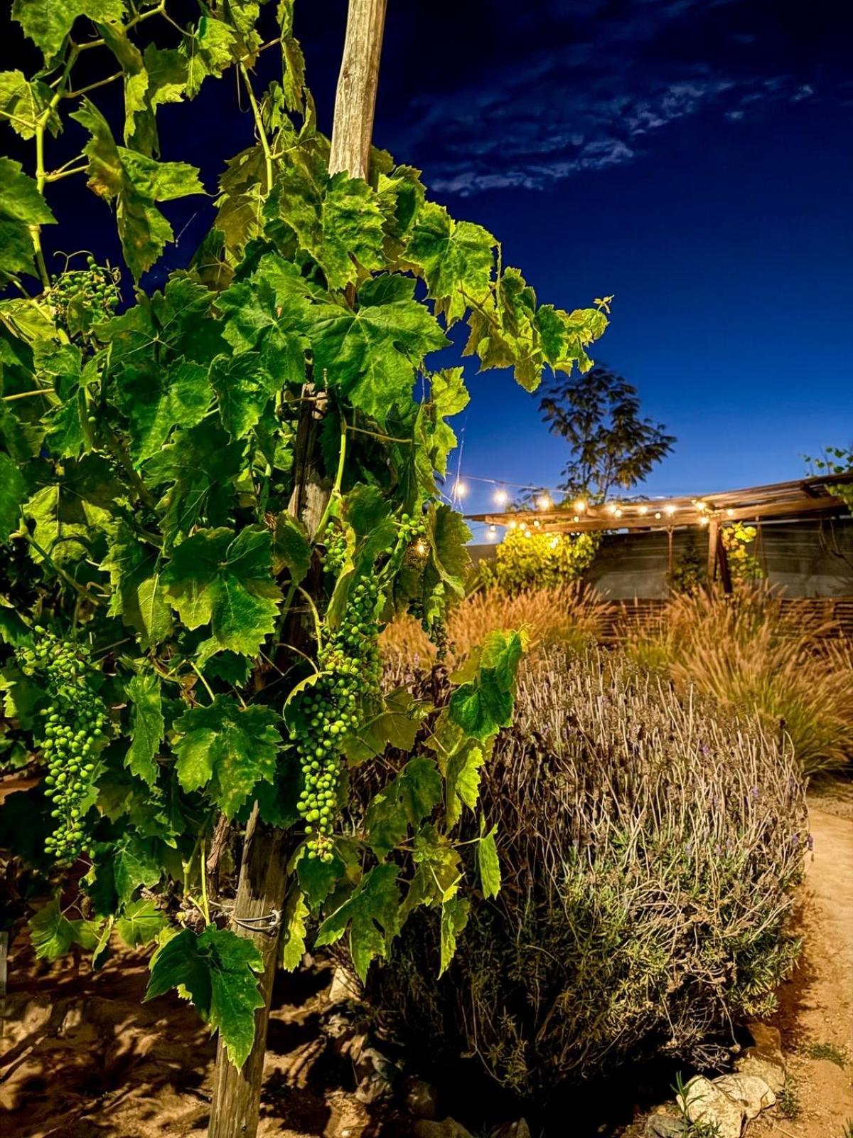 Villa Rincon Del Corazon Valle de Guadalupe Esterno foto